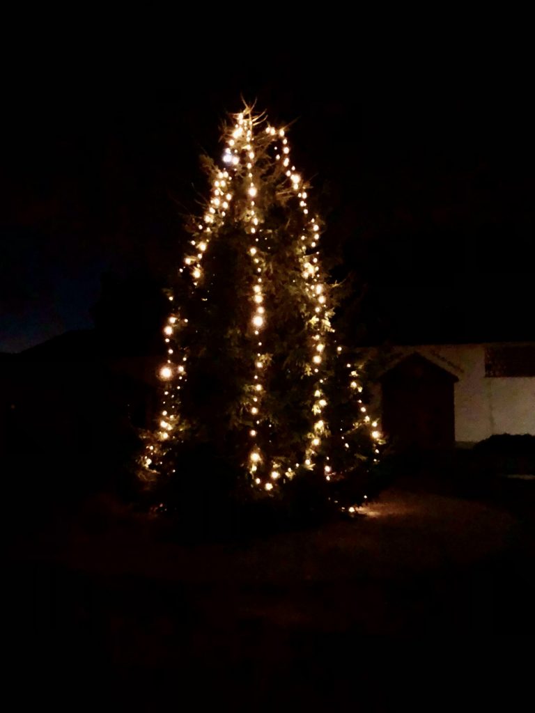Adventsbaum leuchtet auf dem Schützenplatz